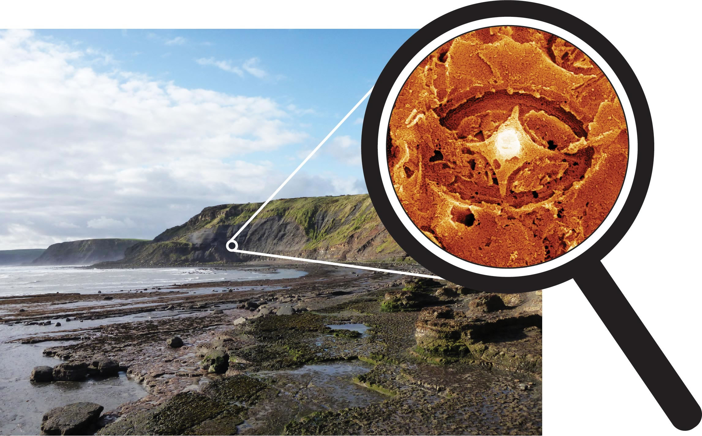 ����һ���µġ����顱��ʯ