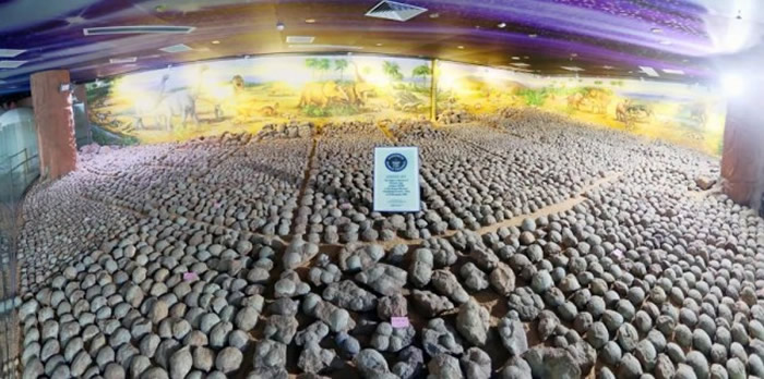 ���صĿ������޸���������