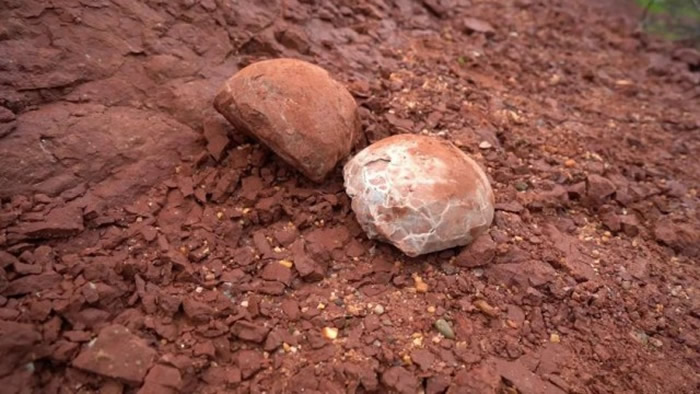 ���صĿ������޸���������