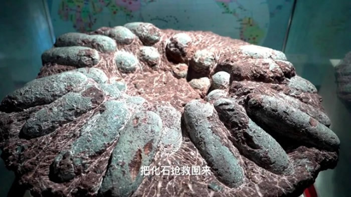 ���صĿ������޸���������