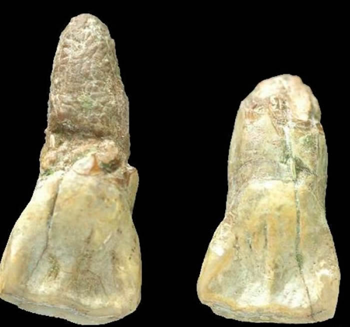 ��Ԫı�˲���ݵ���ݲ�Ʒ��̽���¹��ڡ�������Դ���Ļ���