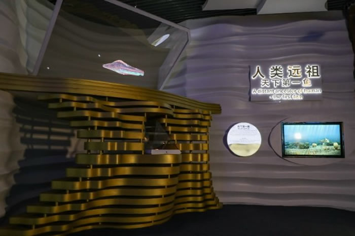 �߽��ν���ʯ����Ȼ�Ų������ ���������Ĺ���