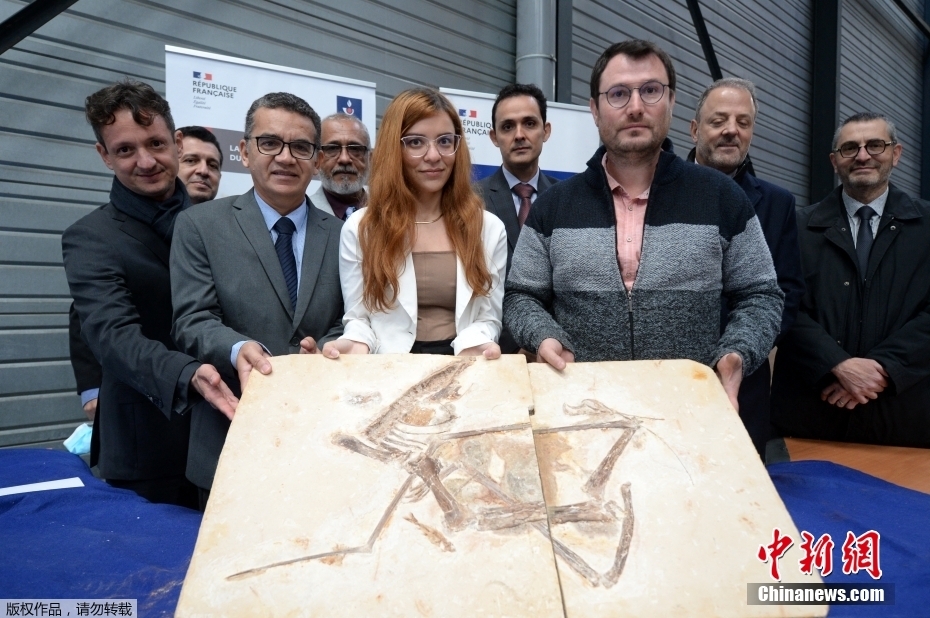 �����黹����998�黯ʯ