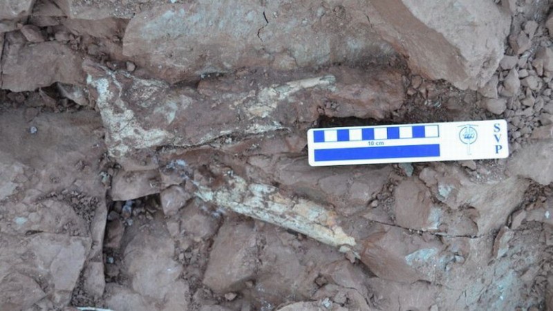 ����͢����8600����ǰ������֮���� ��Ϊ�������������