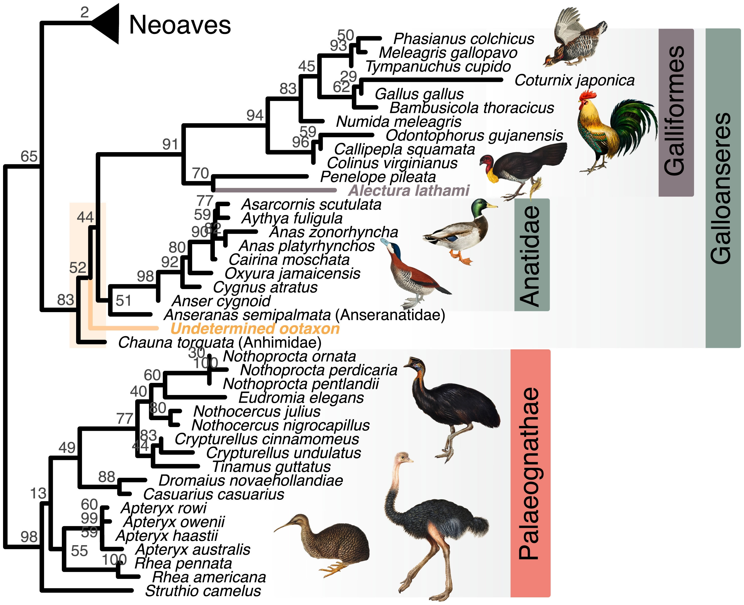 ��PNAS����־���Ĵ�����ʷǰ�޵����ڡ�ĩ��ħѼ��