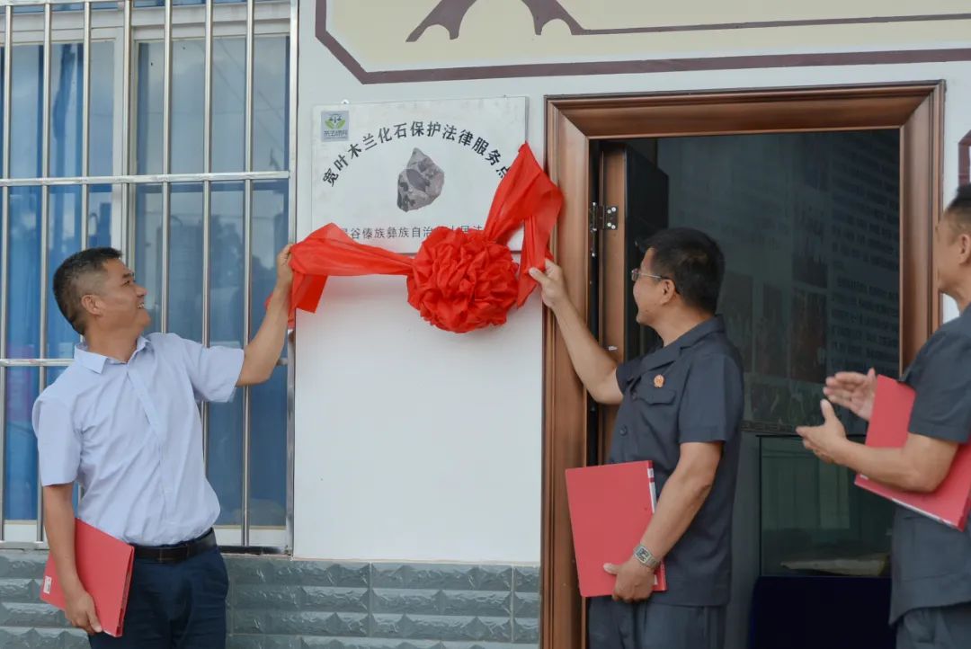 ����������Ժ���Ƴ�������Ҷľ����ʯ�������ɷ���㡱