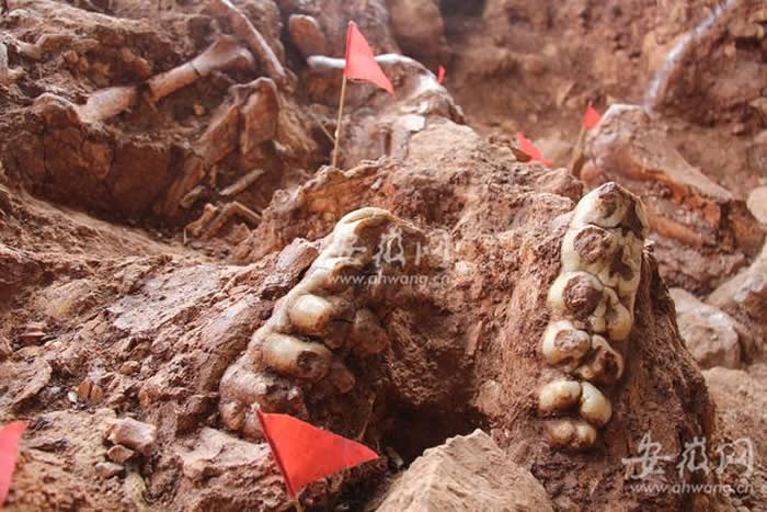 �ߺ��з�����������ֶ������������л�����������ʯ