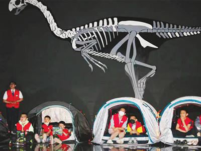 内蒙古博物院推出《博物馆奇妙夜》活动：躺在帐篷里看恐龙