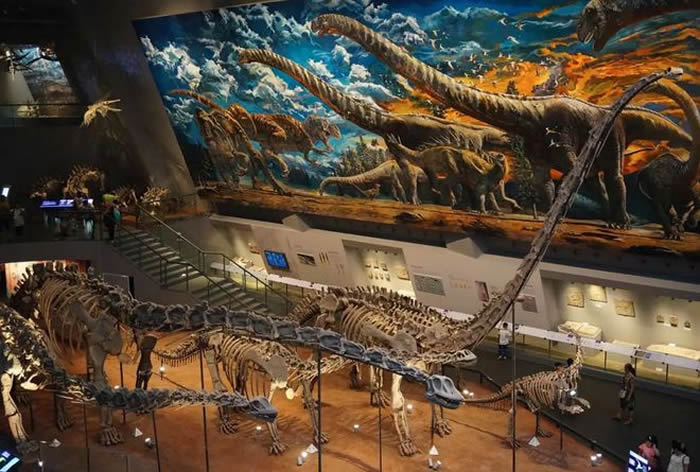 重庆自然博物馆端午假期受追捧