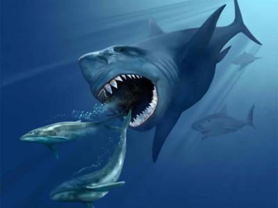 地球最大鲨鱼——巨齿鲨的灭绝有了新线索