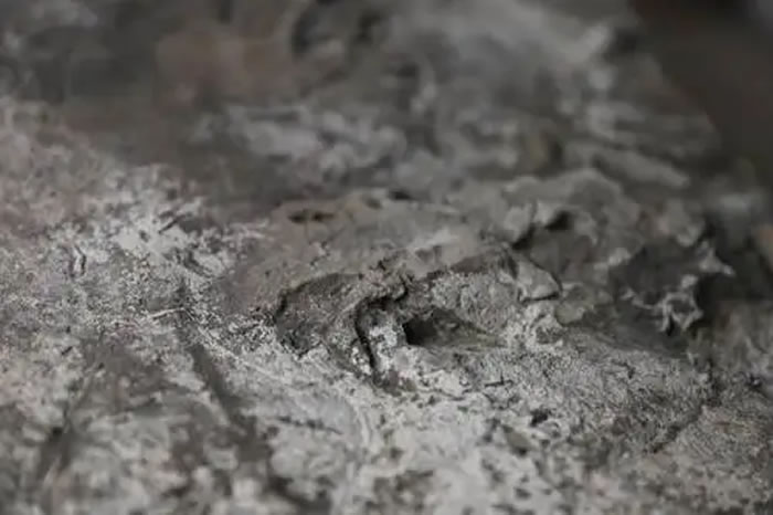 ����ʡ�����Ž������ϴ�����η��������ﻯʯ���﹤������