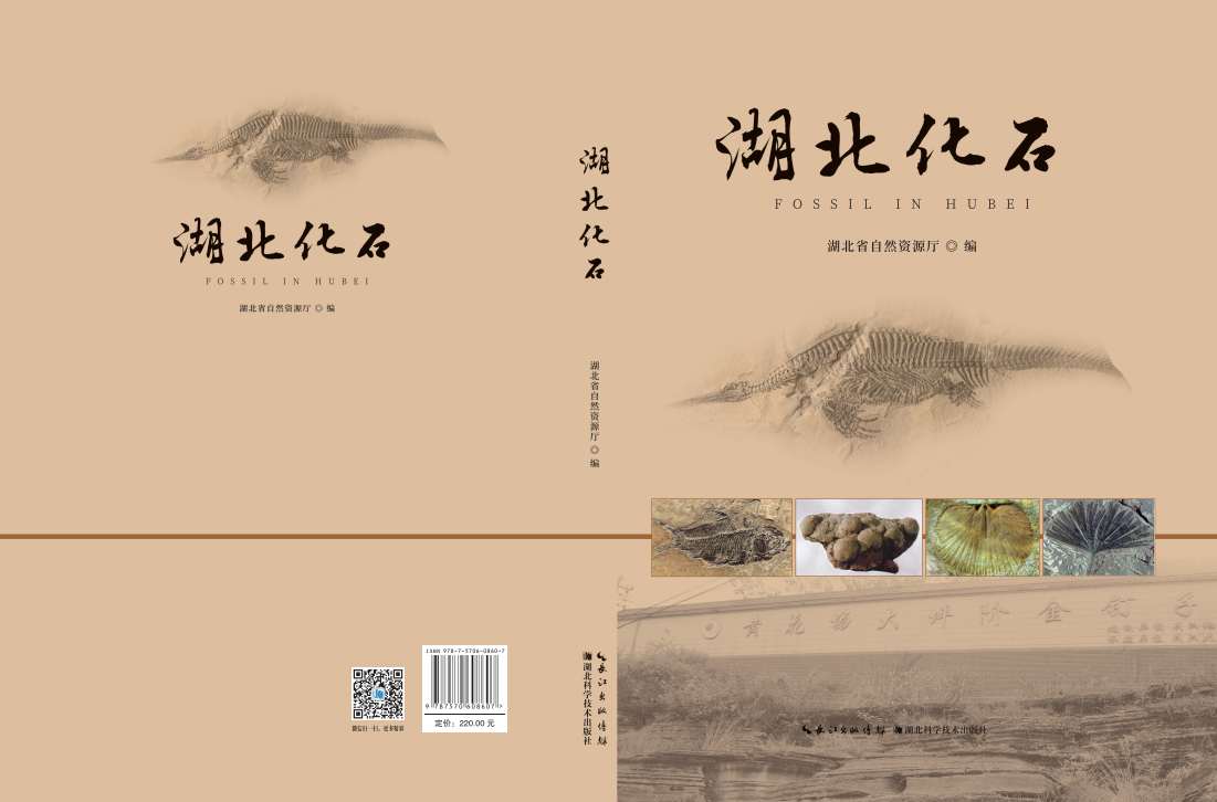 ��������ʯ����ѡ2021�����ʡ���������Ʒ