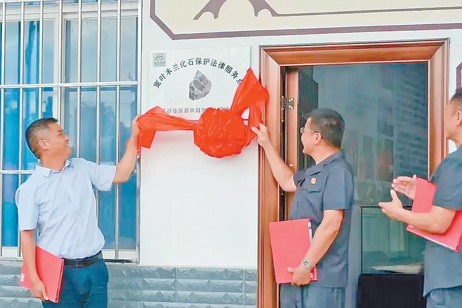 ����Ҷľ����ʯ�������ɷ���㡱�ھ��ȹ���