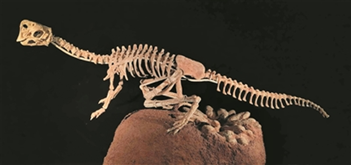 ��Դ��������ݹݲء�����������20000ö ��ȫ��֮��