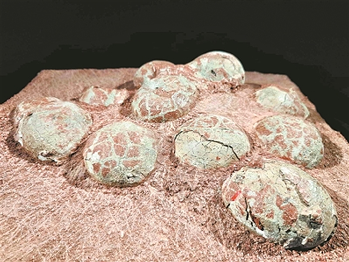 ��Դ��������ݹݲء�����������20000ö ��ȫ��֮��