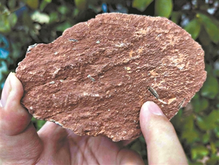 ��Դ��������ݹݲء�����������20000ö ��ȫ��֮��