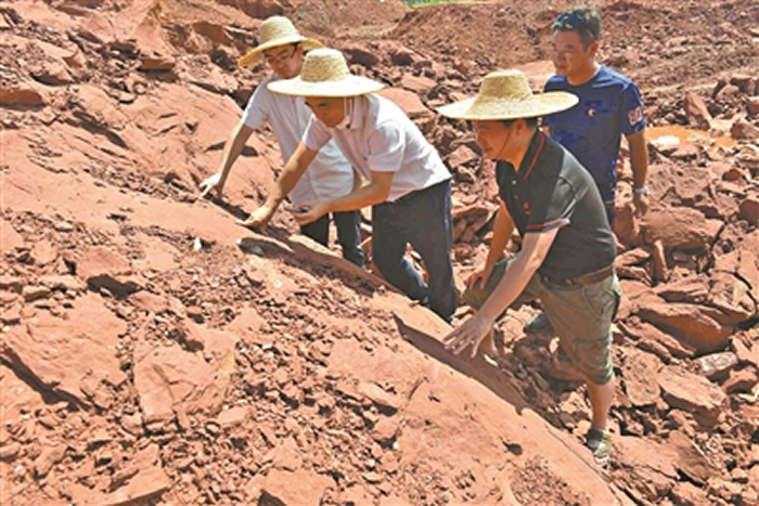 ��Դ��������ݹݲء�����������20000ö ��ȫ��֮��