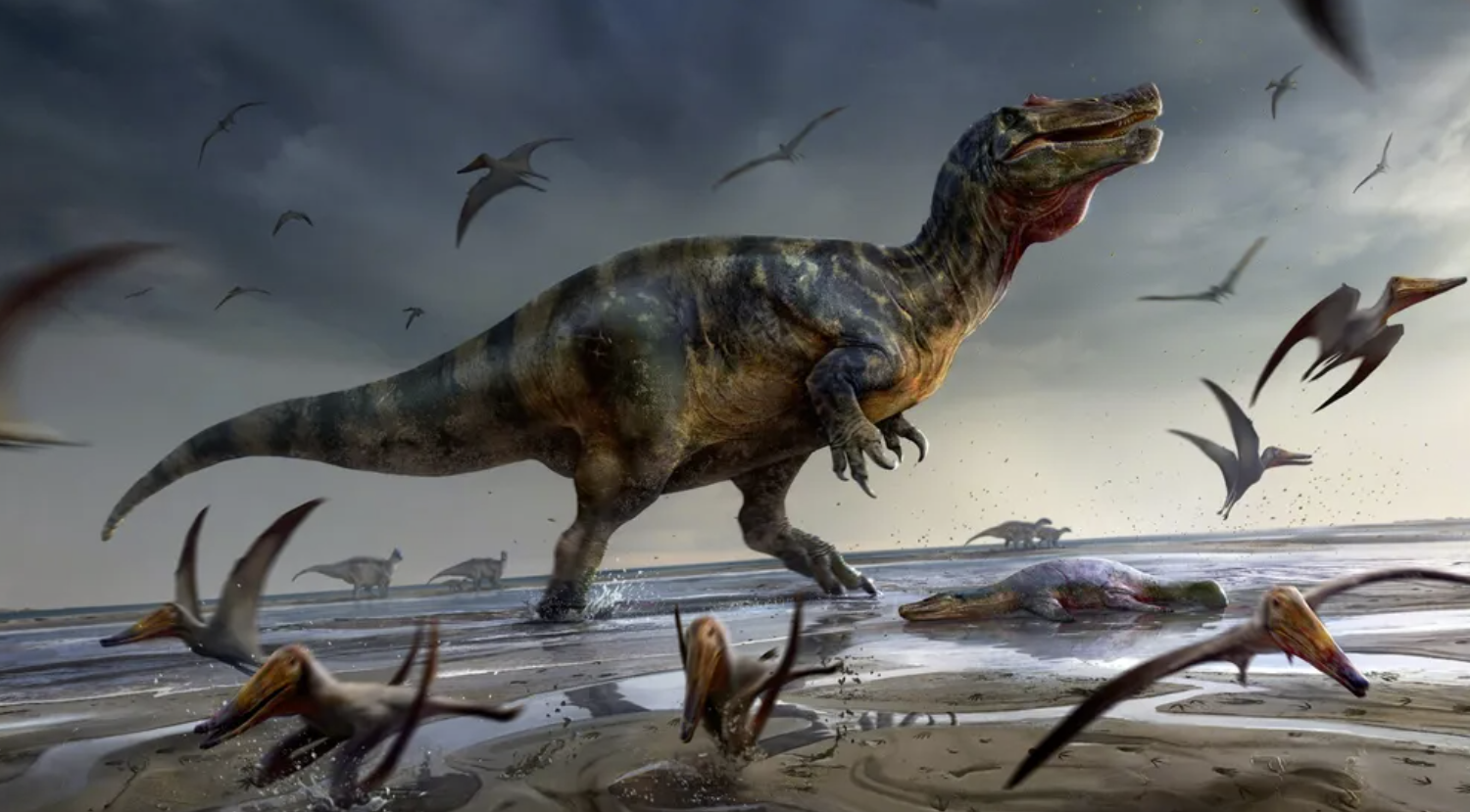 英国英格兰怀特岛发现欧洲已知最大陆地恐龙化石
