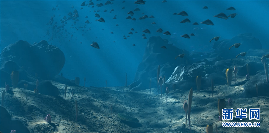 5.3亿年前的海洋生命长啥样你知道吗？