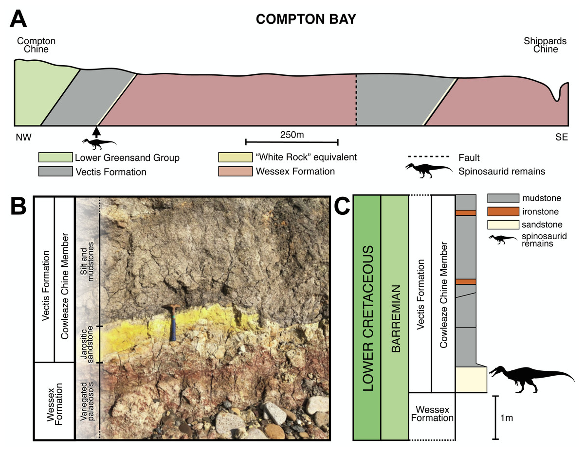 ��ŷ������½��ʳ�⶯���1.25 ����ǰ�޴�ġ�������������������