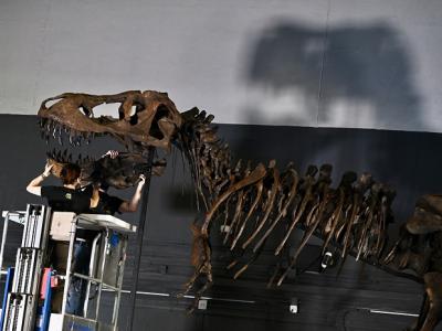 香港科学馆将于7月8日起举行大型恐龙展览“八大·寻龙记”