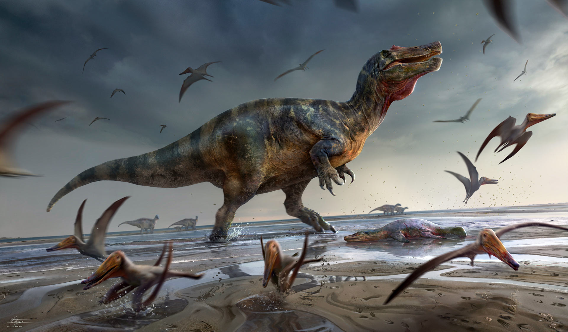 英国最出色的“化石猎人”在怀特岛发现巨大的鳄鱼脸恐龙——白石棘龙