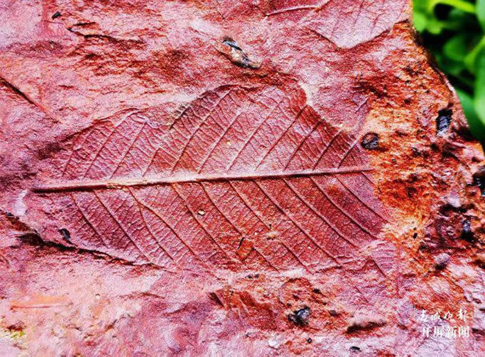 ����ʡ��������������ʯ�����߿�������ʯä�С� Ѱ��������Ȥ