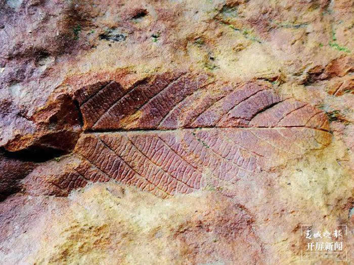 ����ʡ��������������ʯ�����߿�������ʯä�С� Ѱ��������Ȥ