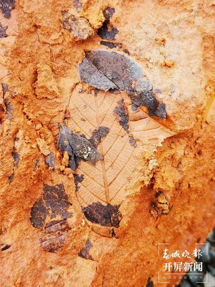 ����ʡ��������������ʯ�����߿�������ʯä�С� Ѱ��������Ȥ