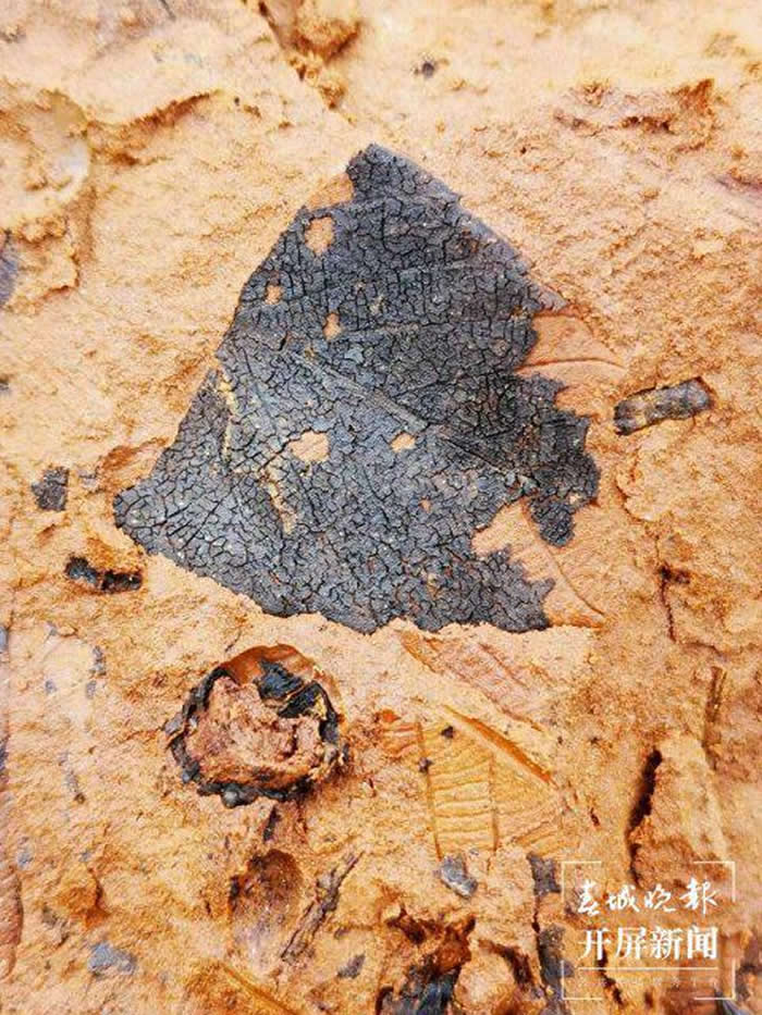 ����ʡ��������������ʯ�����߿�������ʯä�С� Ѱ��������Ȥ