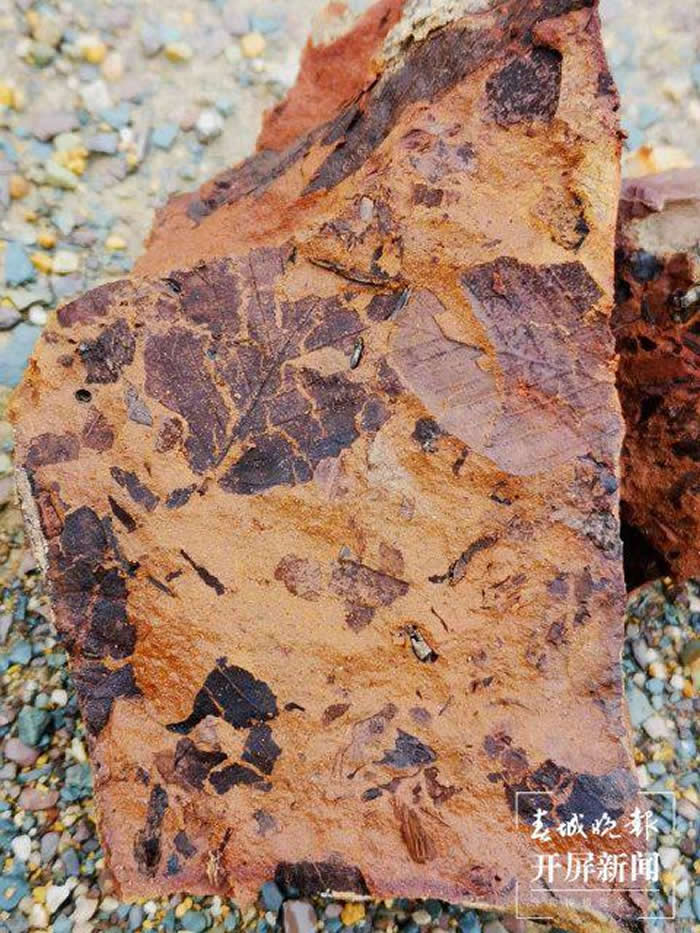 ����ʡ��������������ʯ�����߿�������ʯä�С� Ѱ��������Ȥ