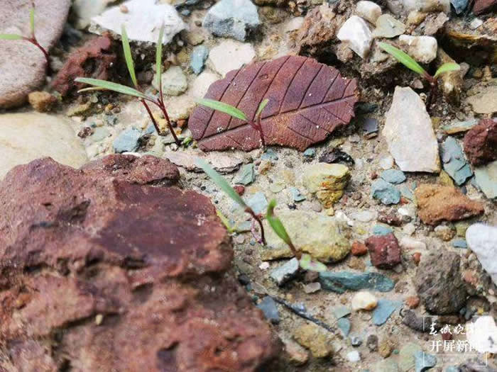 ����ʡ��������������ʯ�����߿�������ʯä�С� Ѱ��������Ȥ