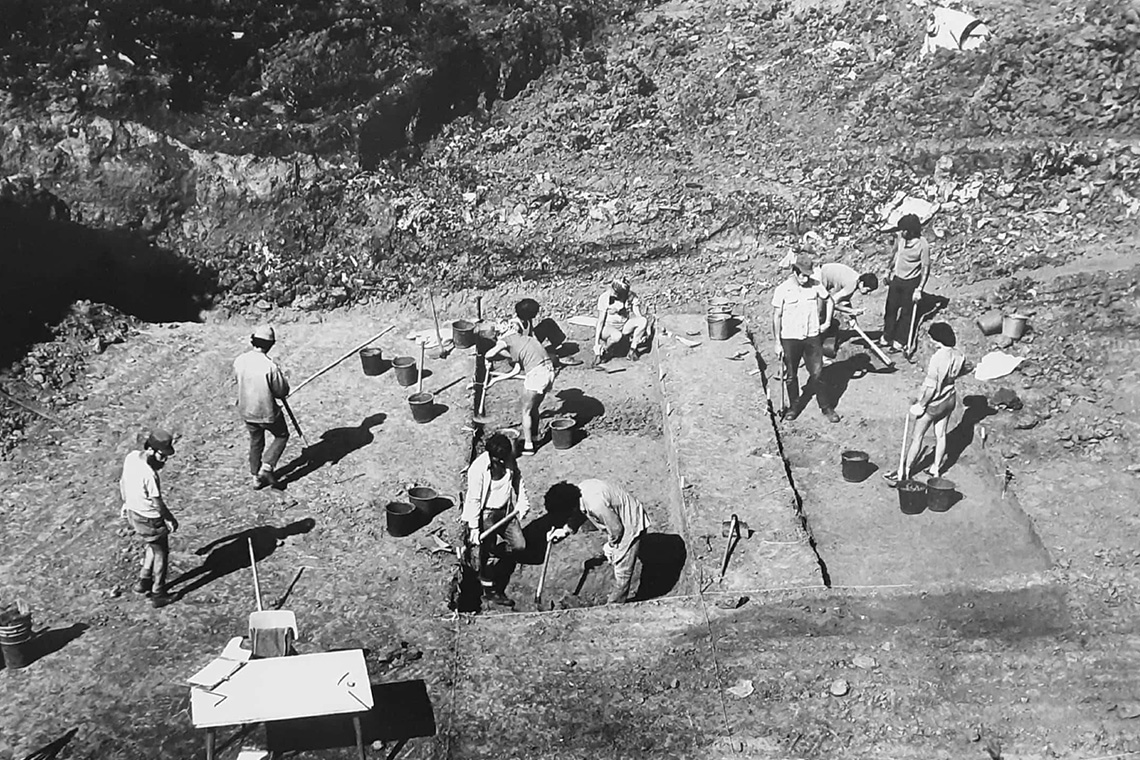 �˹����ܹ��߷�����ɫ��100����ǰ������ַ���û������֤��