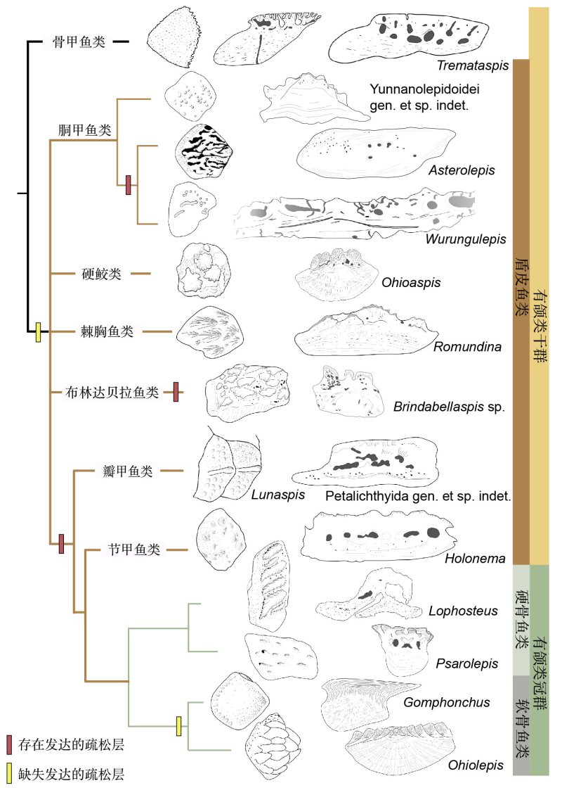 ԭʼ�ؼ��������򢼹׵�������ȵ����и��