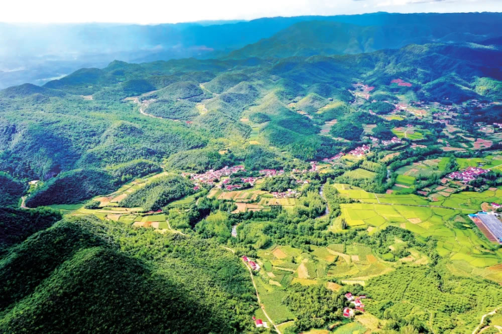 ����ʡԶ�������Ǵ壺ƫԶɽ�廯ʯ�塢���δ塢�¸���