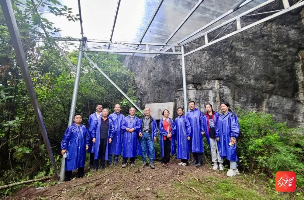 ���󿧡������ٽ�������ַ�������������η���