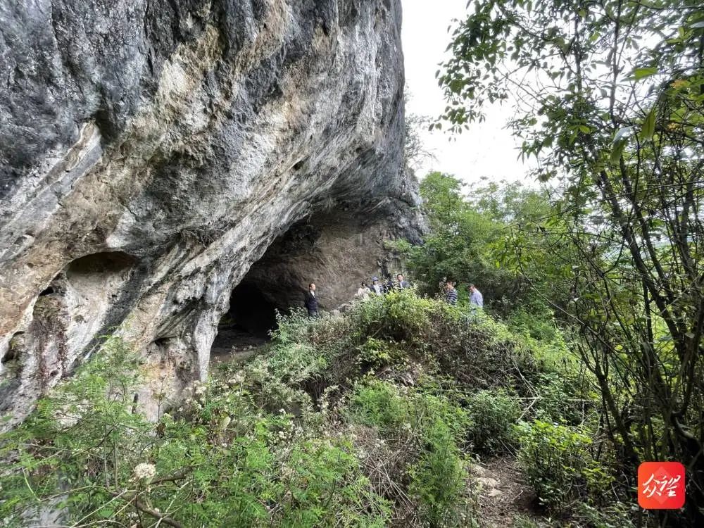 �����ն�������ַ