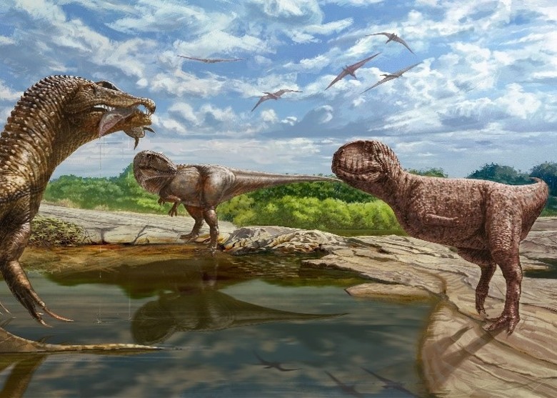 ����������ɳĮ����������ʯ��ַ����9800����ǰ���������ƿ�����ʯ