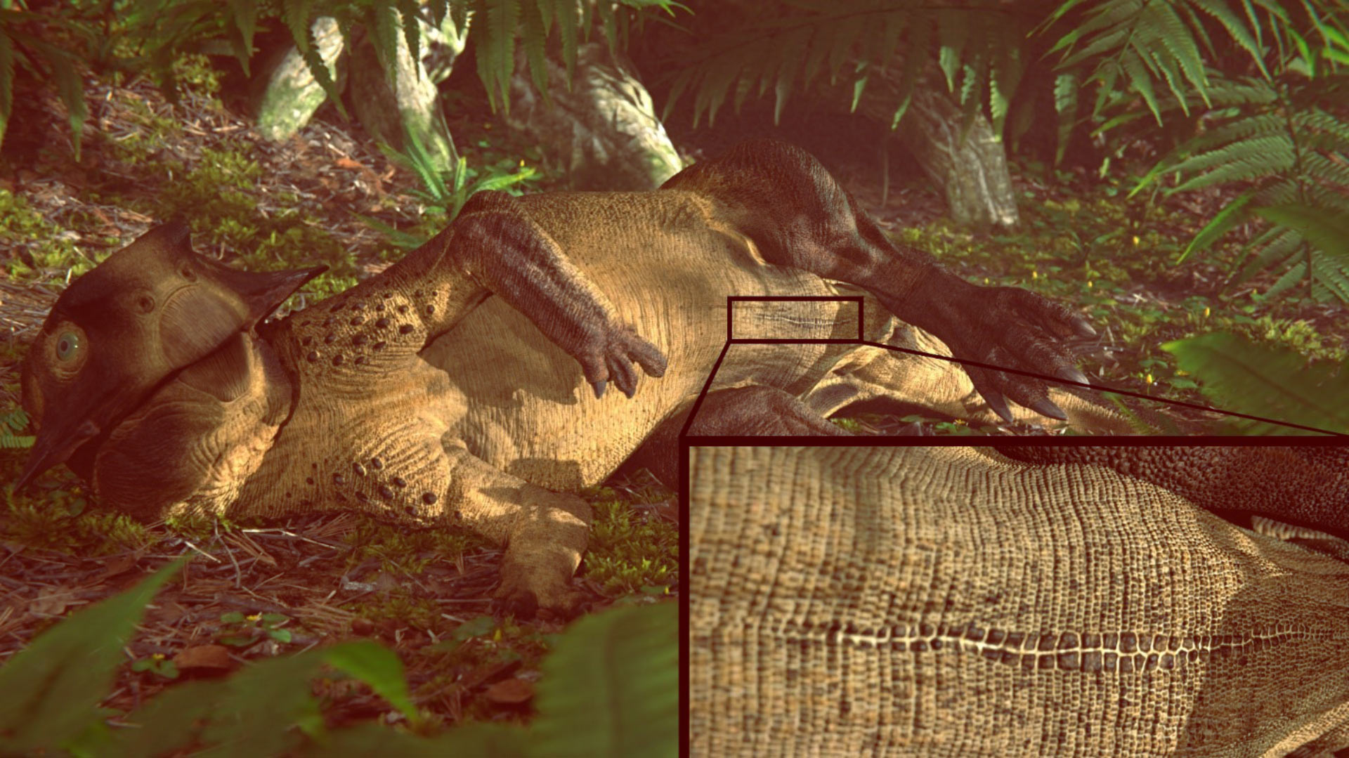 1.3亿年前生活在中国的草食性恐龙——鹦鹉嘴龙有“肚脐”