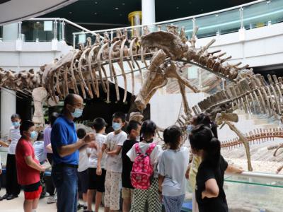到深圳古生物博物馆 与古生物进行特殊对话
