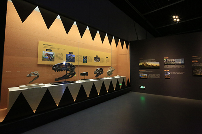 “我们的恐龙”大型特展在宁波博物馆一层特展厅正式开幕