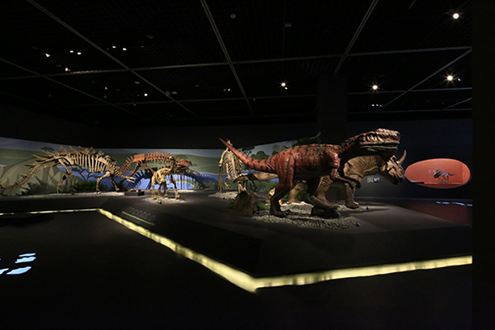 “我们的恐龙”大型特展在宁波博物馆一层特展厅正式开幕