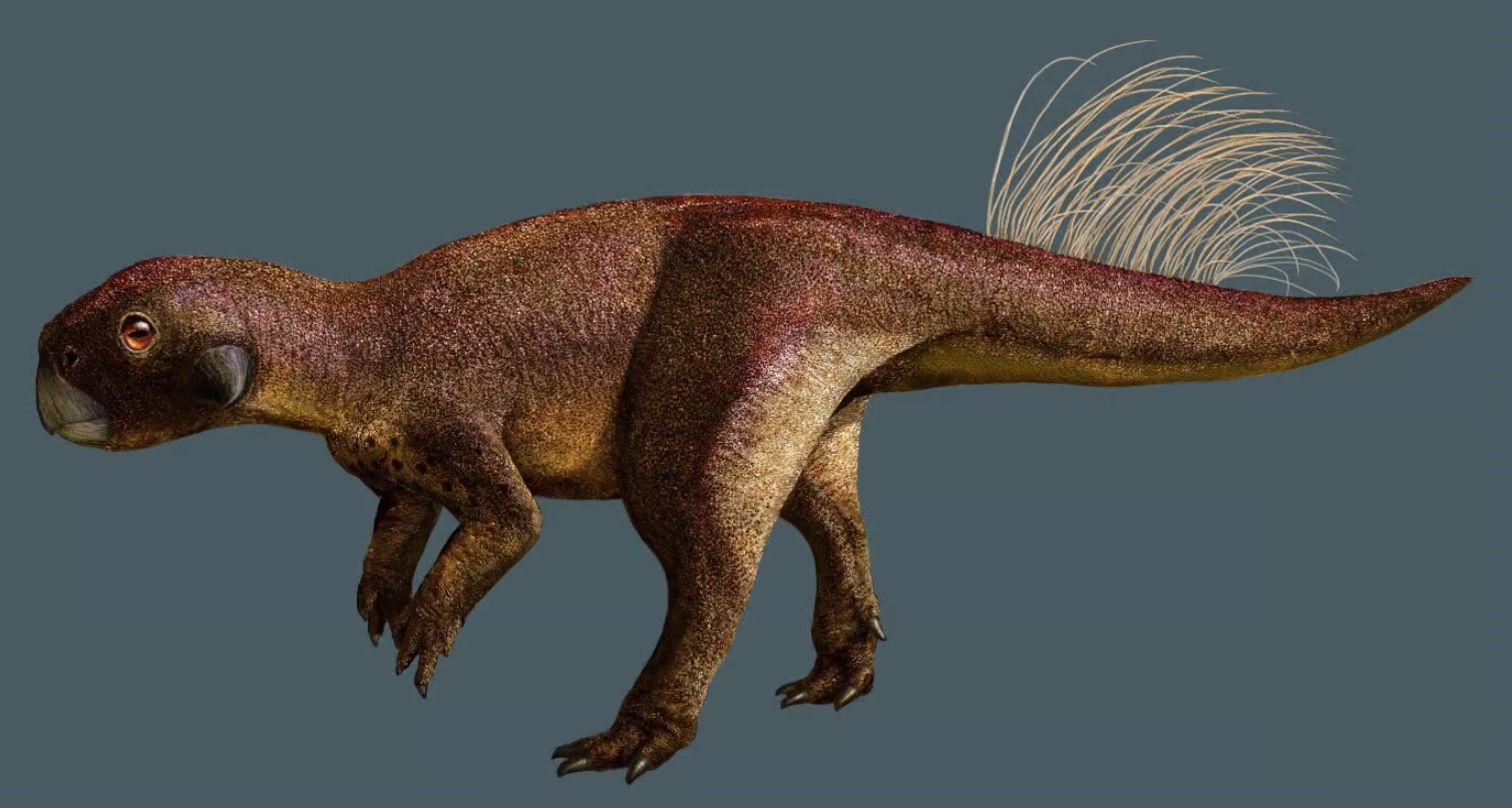 1.3����ǰ��������Ƥ����ʯ�Ϸ����׸����������ꡱ