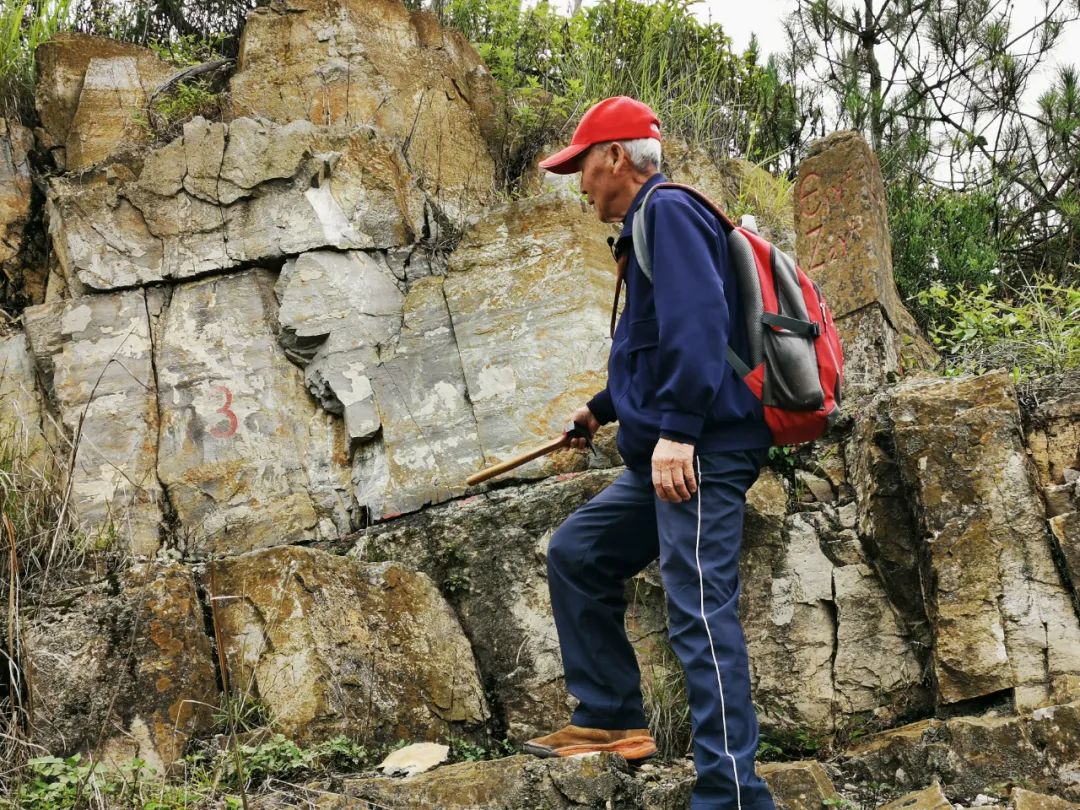 张世山：梅树村古生物化石的半生情缘
