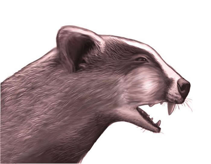 ������⵸�ԭͼ ��������ͼ