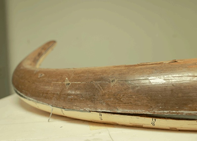 ����������ѧ���ƽ������Buesching��ǰϰ�߼����������