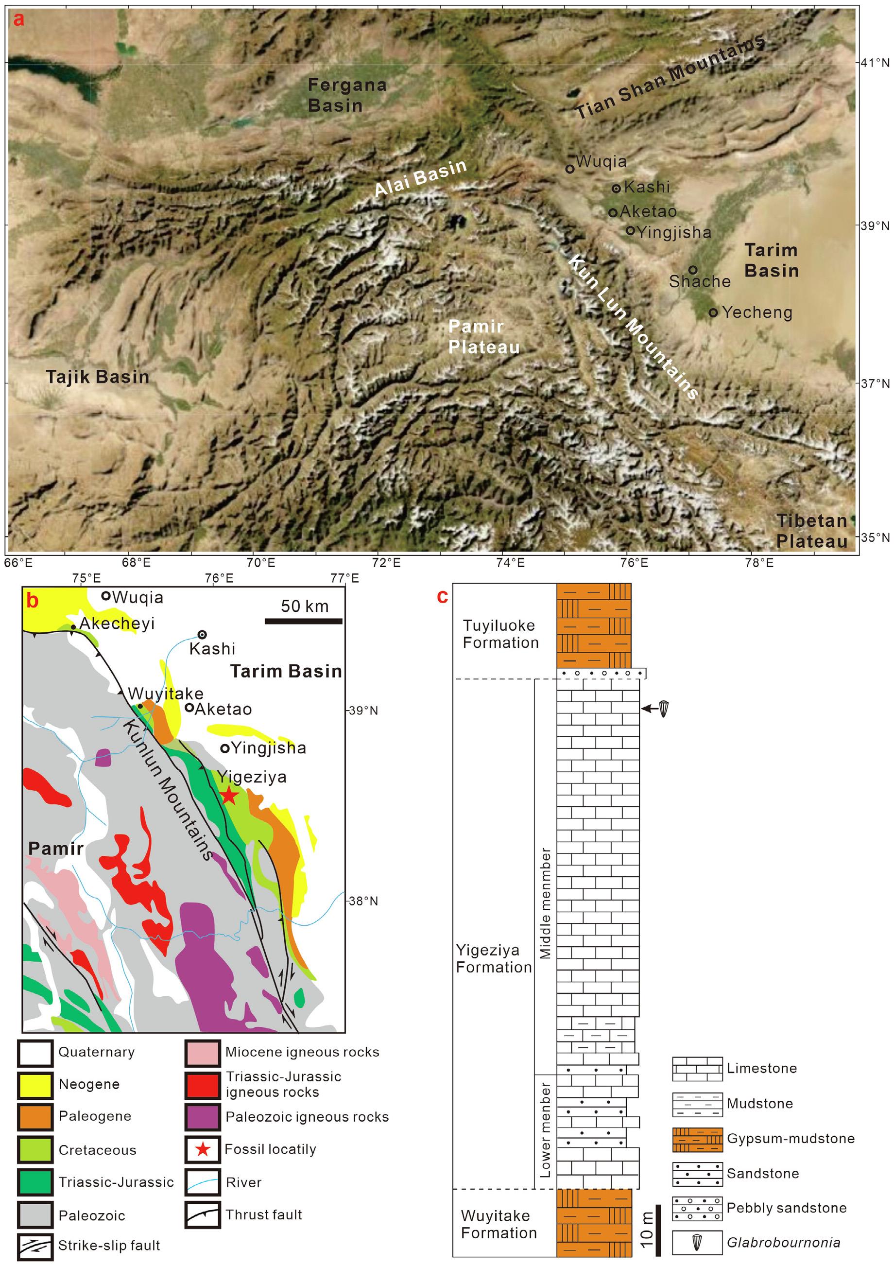 a. ǲ˫Ÿľؼܱصĵλãb. ϵͼʾʯأc. ϰͳ״ͼʾʯλ