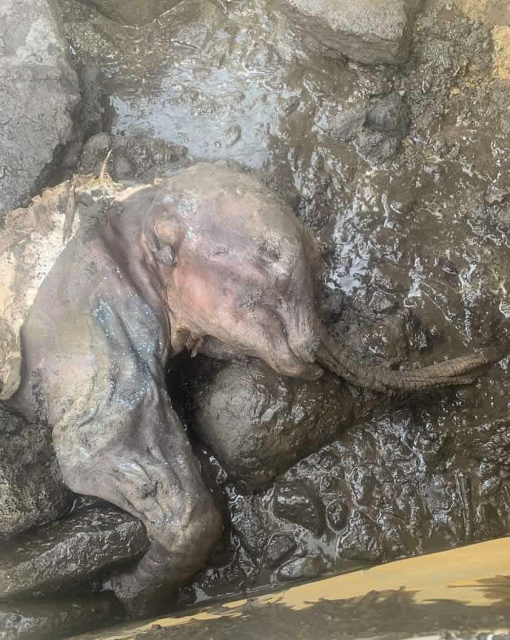 ���ô����յ�������з�������Ϊֹ��������������������������ʯ