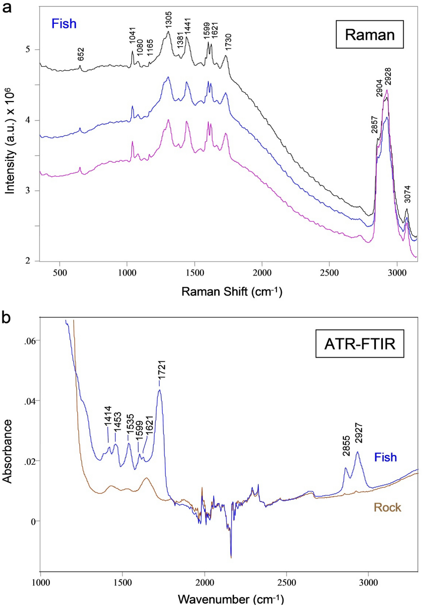 �����о���Ա����BioFinder��⻯ʯ�е��л����� ��Ѱ��������������