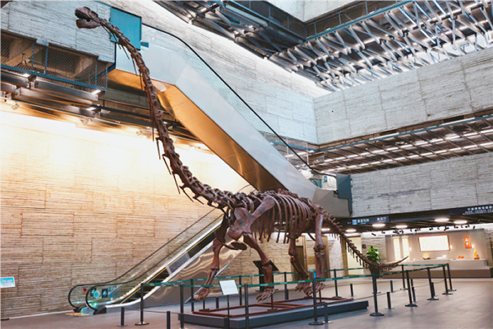 �й���������������� ��������Ժ��չ